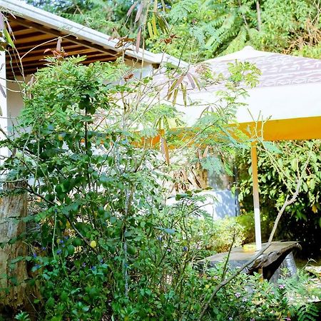 Inzozi Africa House B&B-Kimihurura Kigali Exteriér fotografie